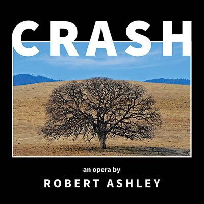 ROBERT ASHLEY : Crash - ウインドウを閉じる