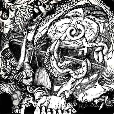 Organum : Drome Organum : Drome