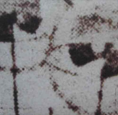 ELIANE RADIGUE : Vice-Versa, Etc... ELIANE RADIGUE : Vice-Versa, Etc...