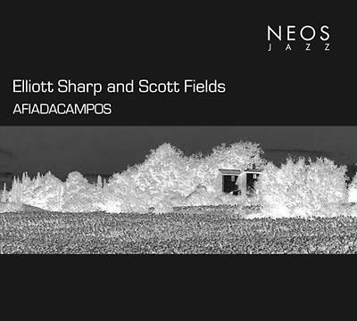 ELLIOTT SHARP & SCOTT FIELDS : Afiadacampos