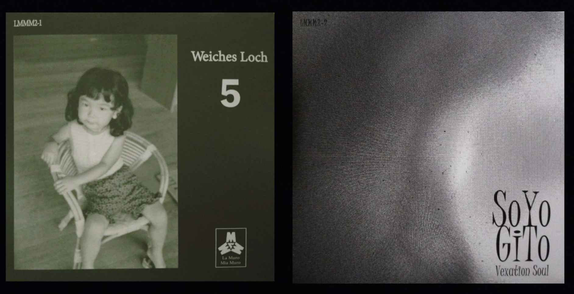 WEICHES LOCH / VEAXATION SOUL : 5 / SOYOGITO