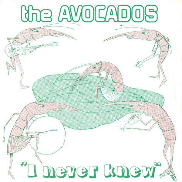THE AVOCADOS : I Never Knew