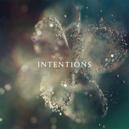 ANNA : Intentions - Click Image to Close