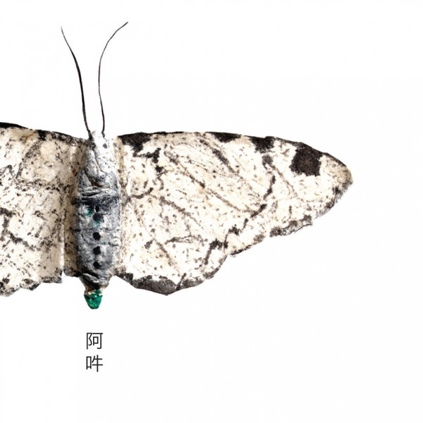 CHRISTIAN FENNESZ : Aun - The Beginning And The End Of All Things