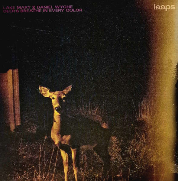 LAKE MARY & DANIEL WYCHE : Deer's Breathe In Every Color