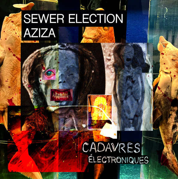 SEWER ELECTION / AZIZA : Cadavres Électroniques