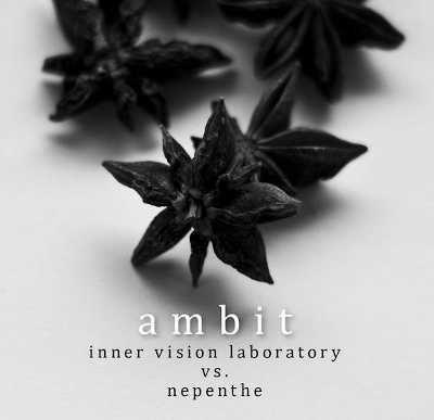 INNER VISION LABORATORY VS. NEPENTHE : Ambit - ウインドウを閉じる