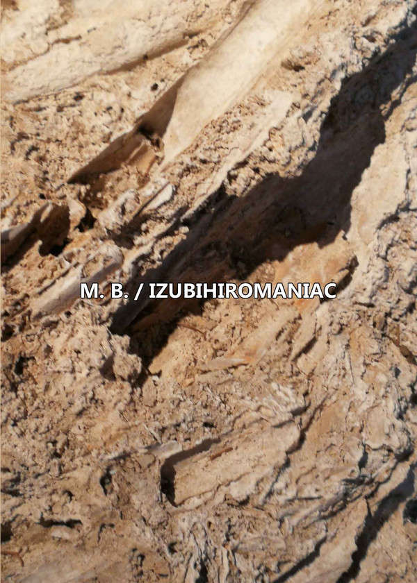 MAURIZIO BIANCHI / M.B. : IZUBIHIROMANIAC - ウインドウを閉じる