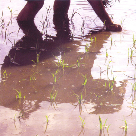 V.A. : Rice Planting Songs