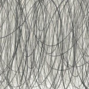 RICHARD CHARTIER : Recurrence