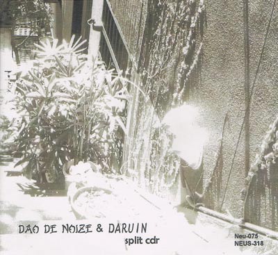 DAO DE NOIZE AND DARUIN : Split - Click Image to Close