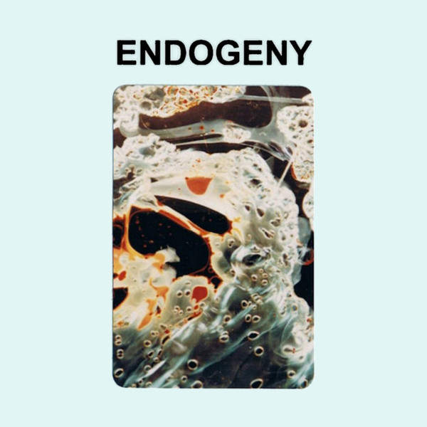 GEN KEN MONTGOMERY : Endogeny