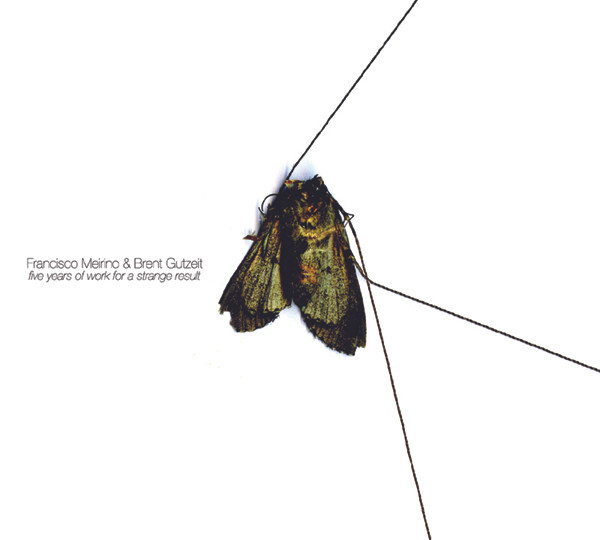 FRANCISCO MEIRINO & BRENT GUTZEIT : Five Years Of Work For A Strange Result