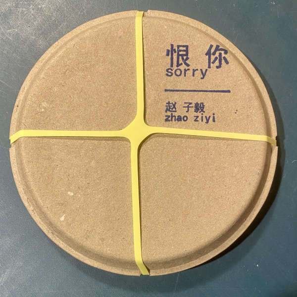 ZHAO ZIYI 赵子毅 : sorry 恨你