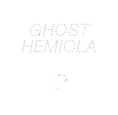 STEFAN GOLDMANN : Ghost Hemiola