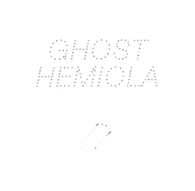 STEFAN GOLDMANN : Ghost Hemiola - Click Image to Close