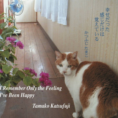 TAMAKO KATSUFUJI : I Remember Only The Feeling I've Been Happy - Click Image to Close