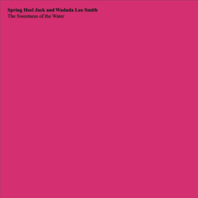 SPRING HEEL JACK AND WADADA LEO SMITH : The Sweetness of the Water - ウインドウを閉じる