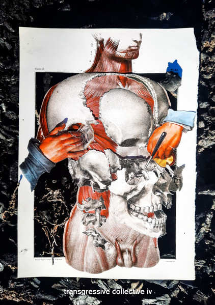 V.A. : Transgressive Collective IV