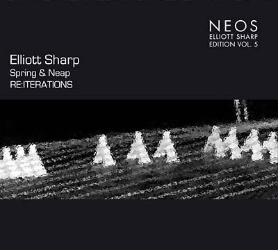 ELLIOTT SHARP : Spring & Neap - RE:ITERATIONS - ウインドウを閉じる