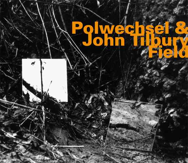 POLWECHSEL & JOHN TILBURY : Field - ウインドウを閉じる