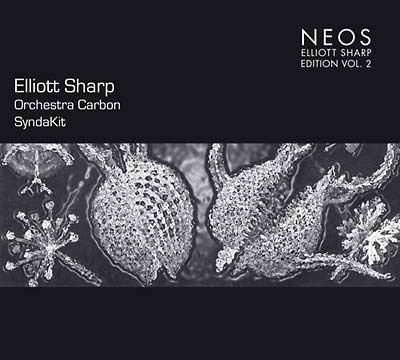 ELLIOTT SHARP : SyndaKit Vol. 2 - ウインドウを閉じる