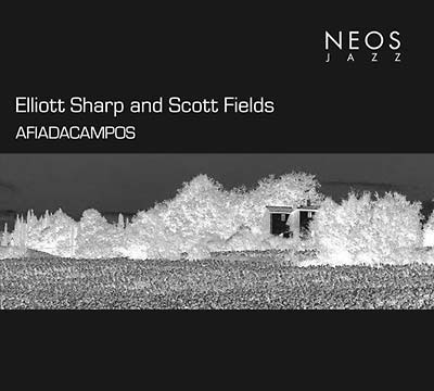 ELLIOTT SHARP & SCOTT FIELDS : Afiadacampos - ウインドウを閉じる