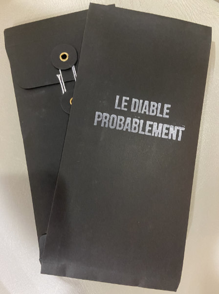 VALERIO TRICOLI, WERNER DAFELDECKER, MATTIN : Le Diable Probablement