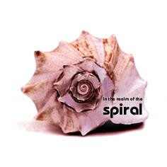 SPIRAL : In The Realm Of The Spiral