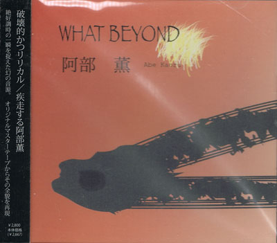 KAORU ABE : What Beyond - ウインドウを閉じる