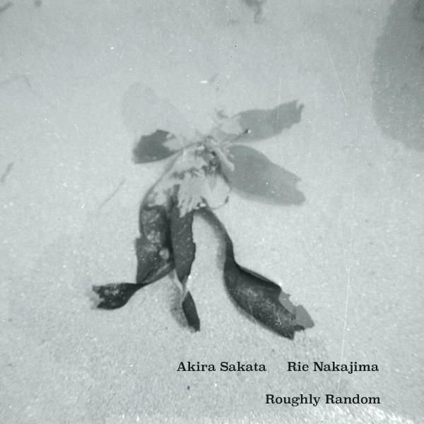 AKIRA SAKATA / RIE NAKAJIMA : Roughly Random