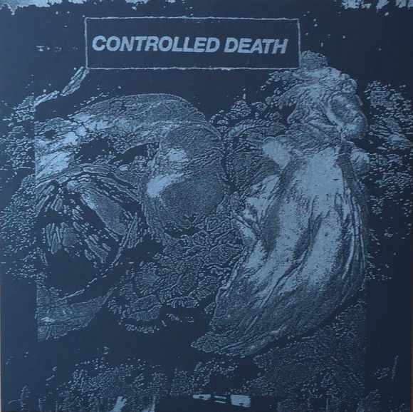 CONTROLLED DEATH : Beautiful Decomposition