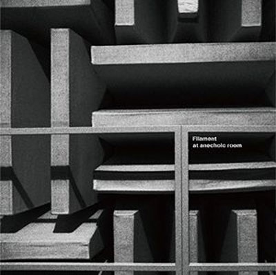 FILAMENT (OTOMO YOSHIHIDE + SACHIKO M) : Filament at anechoic room