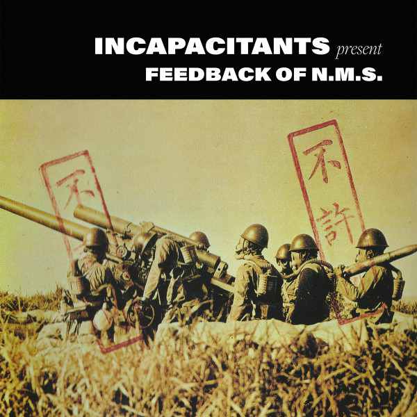 INCAPACITANTS : Feedback Of N.M.S.