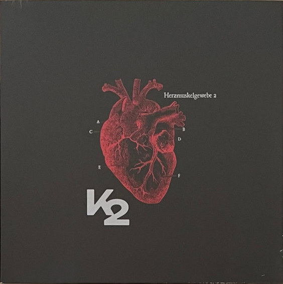 K2 : Herzmuskelgewebe 2