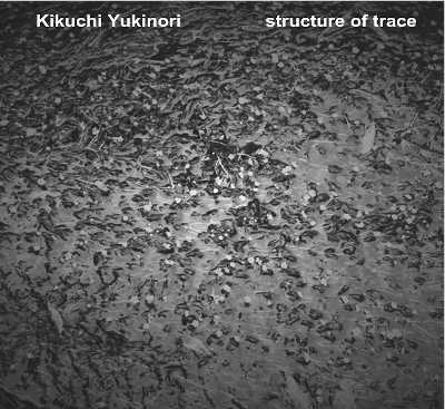 KIKUCHI YUKINORI : Structure of Trace