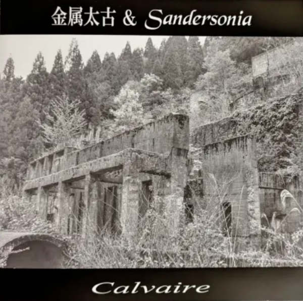 KINZOKUTAIKO & SANDERSONIA : Calvaire