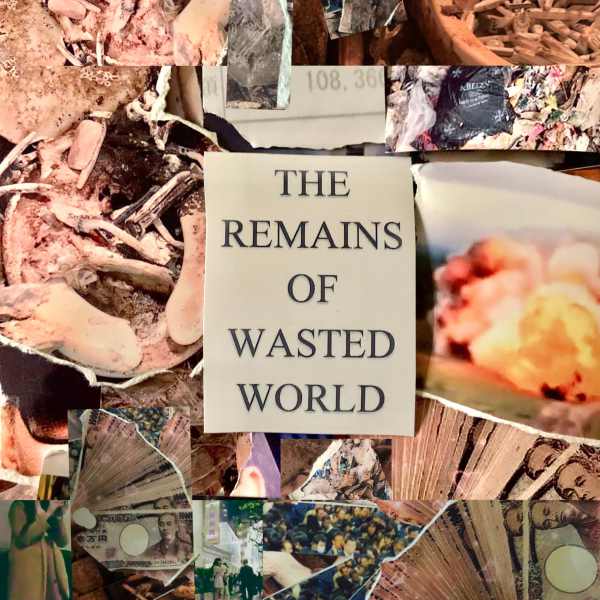 V.A. : The Remains of Wasted World