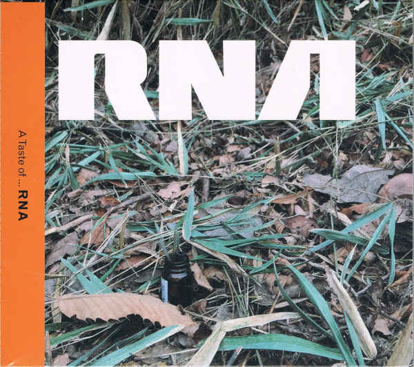 RNA : A Taste of ... RNA RNA : A Taste of ... RNA