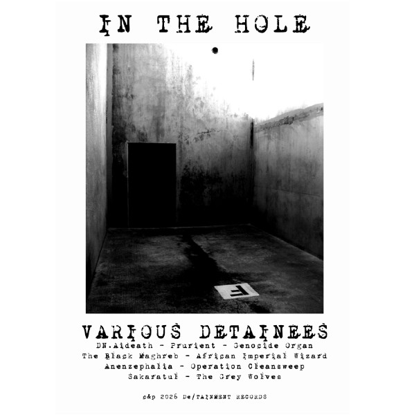 V.A. : In The Hole