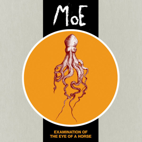 MOE : Examination Of The Eye Of A Horse - ウインドウを閉じる