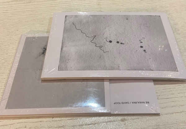 RIE NAKAJIMA, DAVID TOOP : Is Spring A Sculpture?